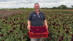 Martien Vriend Buurtschap Stuivezand.