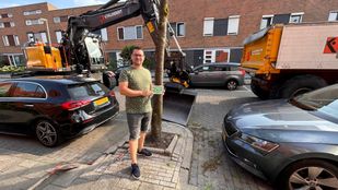 boomspiegels bergse plaat bergen op zoom