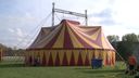 Vrienden van Barani willen geld ophalen voor gestrand circus
