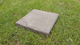 Stoeptegel in het gras