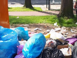 Gedumpt afval en volle vuilniszakken in plantsoen