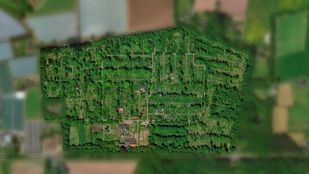 Fort Oranje Rijsbergen