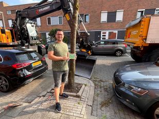 boomspiegels bergse plaat bergen op zoom