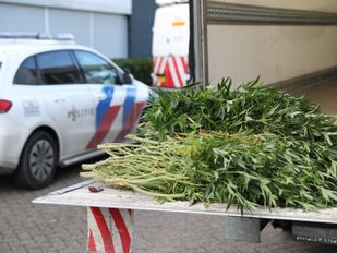 Hennepkwekerij Roosendaal politie