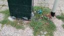 Omwonenden zijn vervuiling De Gagel meer dan beu: &#8216;De ratten lopen gewoon rond&#8217;