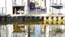 Damwanden Oudenbosch