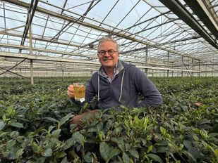 Wouter Eckelmans Local Tea Zundert