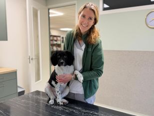 Dierenarts Renate Wellens van Dierenkliniek Zevenbergen