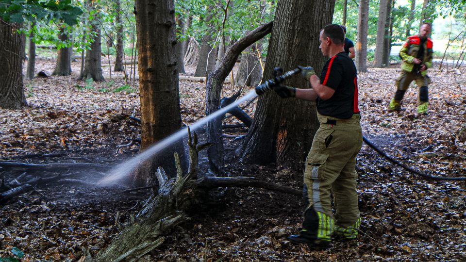 Bosbrandje snel onder controle aan &#8217;t Wasven in Halsteren