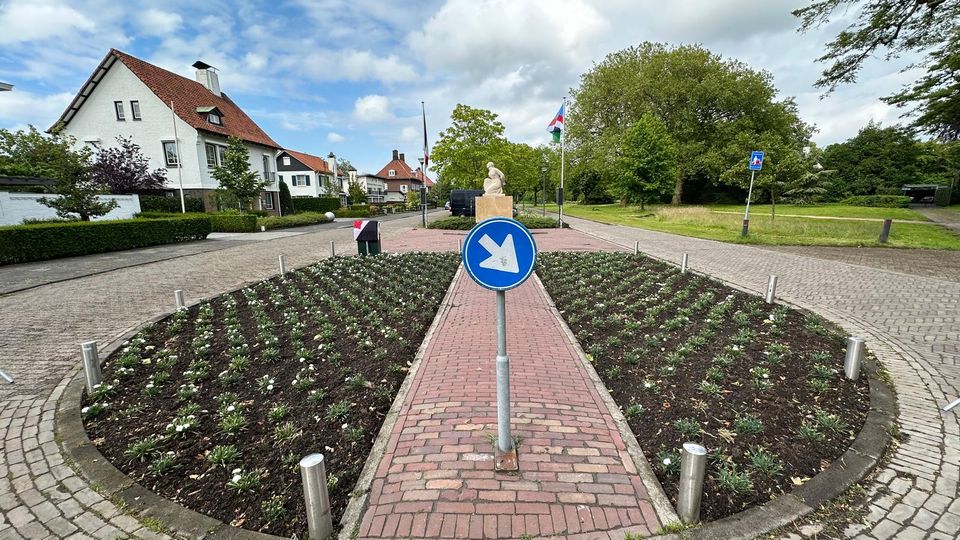 Witte Anjer Perk Parklaan 2024 foto Alex Raggers