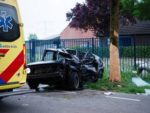 Auto botst frontaal op boom Tholenseweg Halsteren