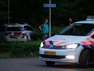 meisje gestoken Vrederust