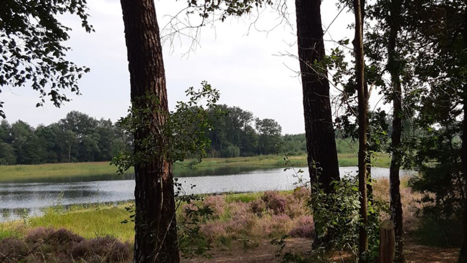 Het Rozenven in Landgoed Visdonk