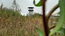 Uitkijktoren verhuist naar toekomstig sport- en speelpark Vlietpark in Roosendaal