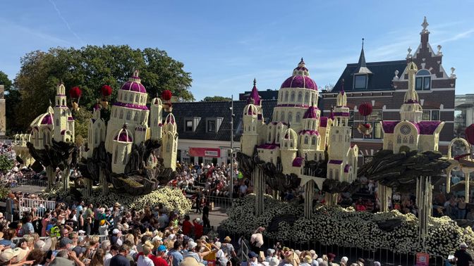 corso zundert nieuws brabant dahlia bloemen buurtschap Stuivezand
