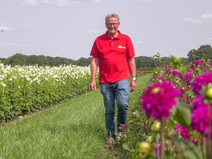 Voorzitter corso zundert john vriends