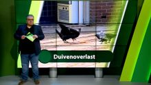 17 mei – West-Brabant
