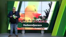 1 juni – Roosendaal | Bergen op Zoom | Woensdrecht | Tholen | Steenbergen