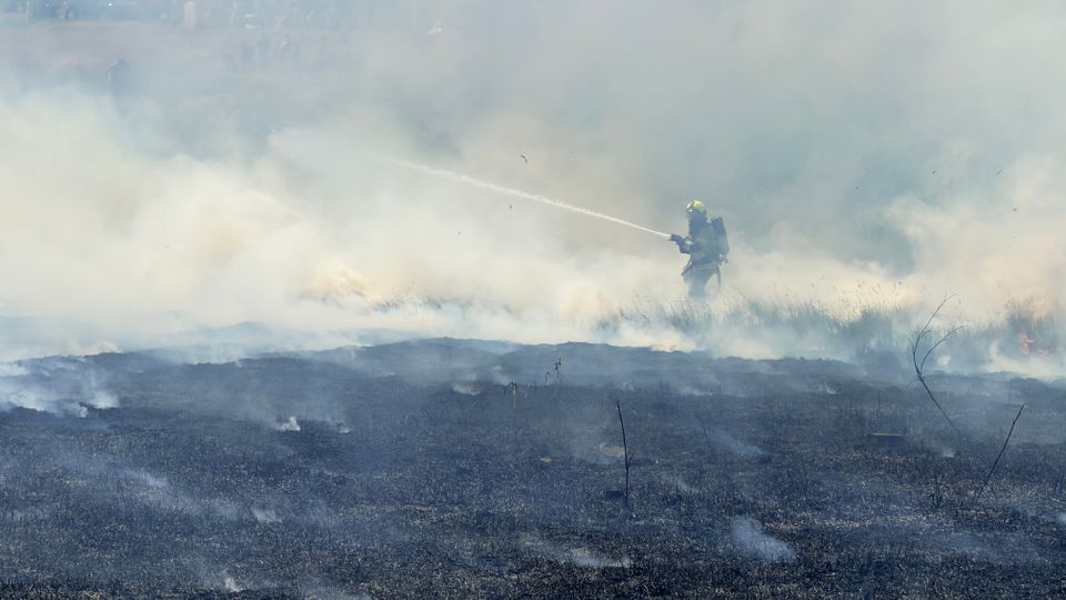 Flinke brand in rietveld in Sint Philipsland