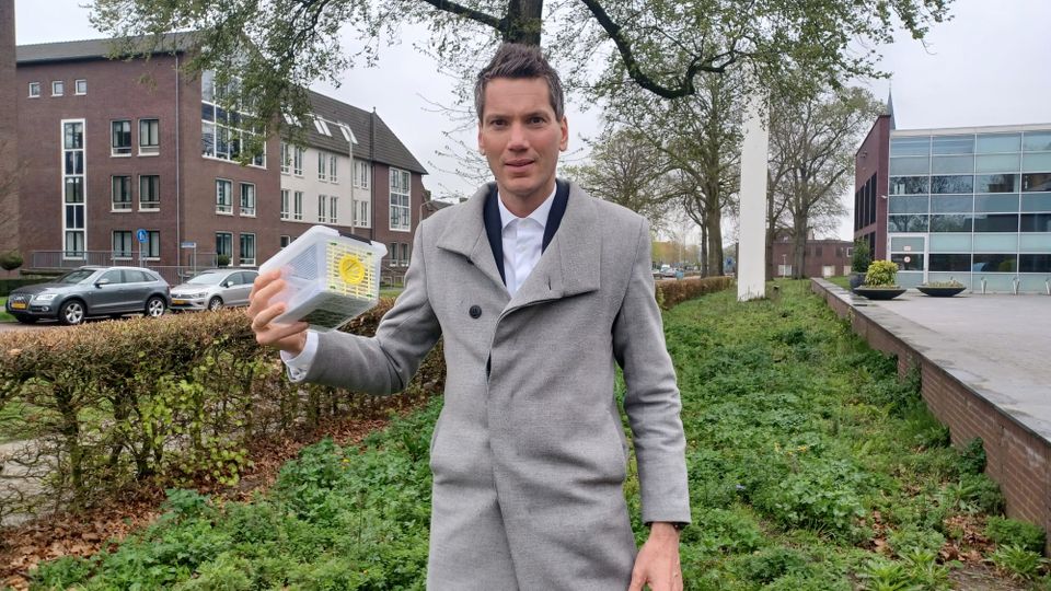 Lokdoosje Aziatische hoornaar gemeente Woensdrecht Van Agtmaal