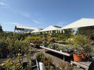 Tuincentrum De Landerije Tuin en Dier (Foto: ZuidWest TV)