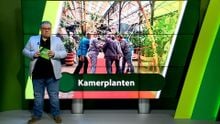 15 mei – Roosendaal | Bergen op Zoom | Woensdrecht | Tholen | Steenbergen