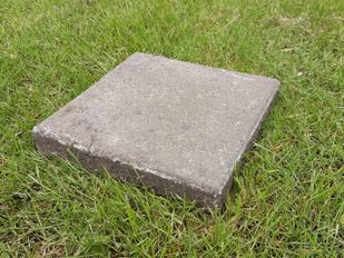 Stoeptegel in het gras
