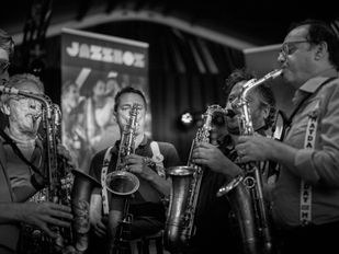 JazzBoZ bestaat vijftig jaar: &#8216;Kwaliteit en toegankelijkheid houden ons sterk&#8217;