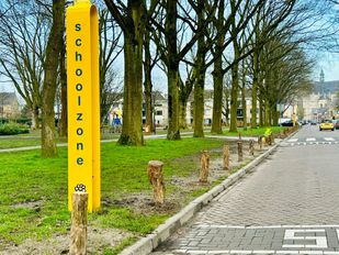 Om de verkeersveiligheid te verbeteren plaatste de gemeente houten paaltjes in het Catharinapark in Wouw. Foto: Eric de Regt.