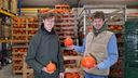Reddingsoperatie voor 8000 kilo pompoenen in Etten-Leur