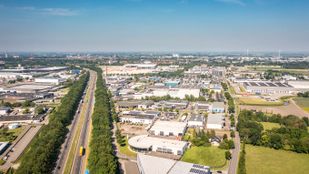 Majoppeveld in Roosendaal. | Foto: Koen Mol