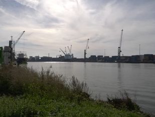 Ruim 3500 bezoekers ontdekken haven van Moerdijk: &#8216;Toch leuk om eens een kijkje te nemen&#8217;