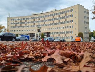 Bergen op Zoom stelt belastingen opnieuw vast: kosten op restafval stijgen het meest