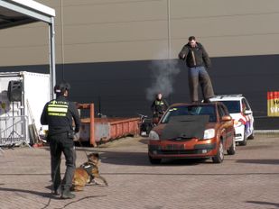 Honderden bezoekers overspoelen Veiligheidsdag in Rucphen tijdens spektakel voor jong en oud