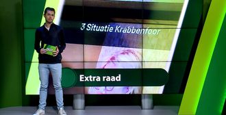 ZuidWest Update - 24 juli – Roosendaal | Bergen op Zoom | Woensdrecht | Tholen | Steenbergen