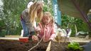 Week van de Schooltuin: &#8216;Worteltjes groeien niet in de supermarkt&#8217;