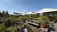 Tuincentrum De Landerije Tuin en Dier (Foto: ZuidWest TV)