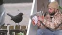 Tijdens de tuinvogeltelling kun je vogels spotten vanuit je luie stoel