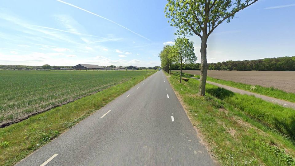 Schijfse Vaartkant Rucphen Schijf