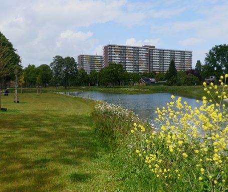 Het vernieuwde Vijverberg park (foto: ZuidWest Update)