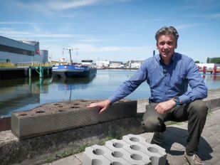 Drijvende plantenbakken moeten Theodorushaven groener maken
