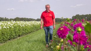 Voorzitter corso zundert john vriends