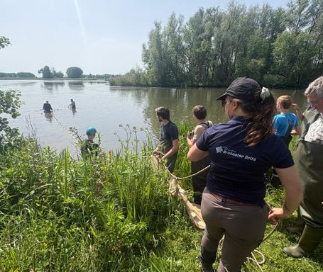 Ravon en Waterschap Brabantse Delta onderzoeken de visstand in Gat van den Ham met vrijwilligers (Foto: ZuidWest Update)