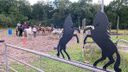 Stal Wagemakers in Nispen is met Trailpark hoogtepunt rijker