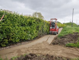 nieuws moerdijk willemstad klundert fijnaart zevenbergen brabant wandelen