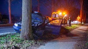 Auto botsing boom ongeluk Steenbergen halsteren