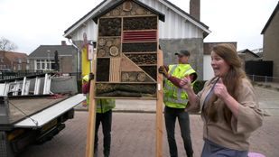 Insectenhotel Wernhout
