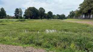 vijverberg bergen op zoom nieuws
