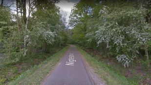 De smalle Nigtestraat in Nispen met aan beide zijde hoge groene en witbloeiende struiken en bomen