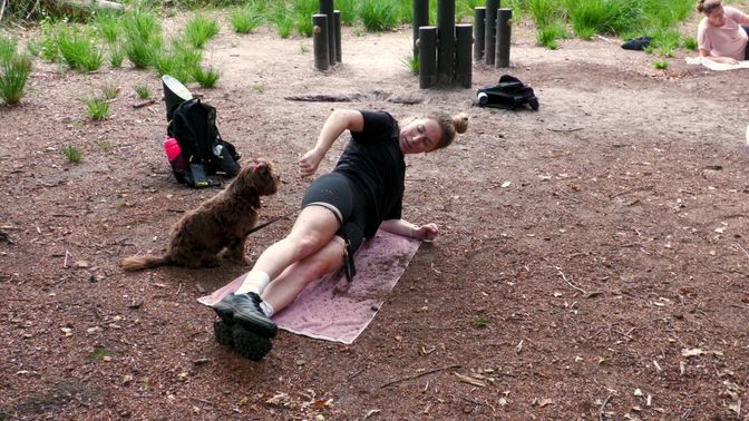 Terwijl het baasje zich omhoog houd, moet de hond erover springen